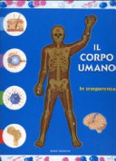 Copertina  Il corpo umano in trasparenza